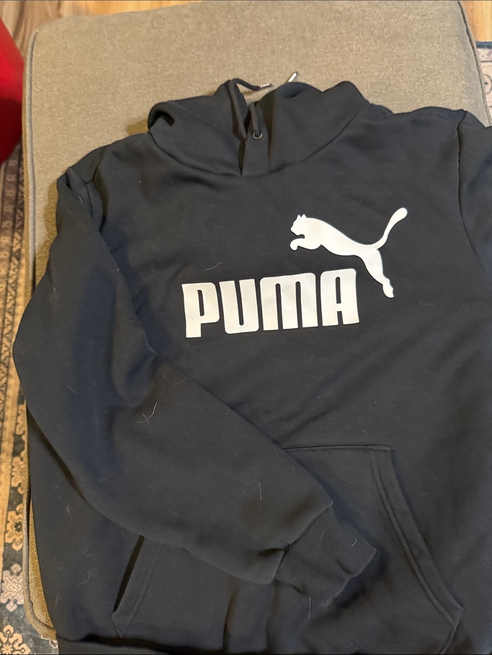Black puma hoodie